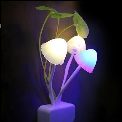 PLANT MUSHROOM NIGHT LAMP