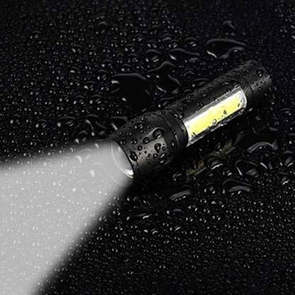 2 IN 1 MINI TORCH LIGHT