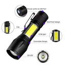 2 IN 1 MINI TORCH LIGHT