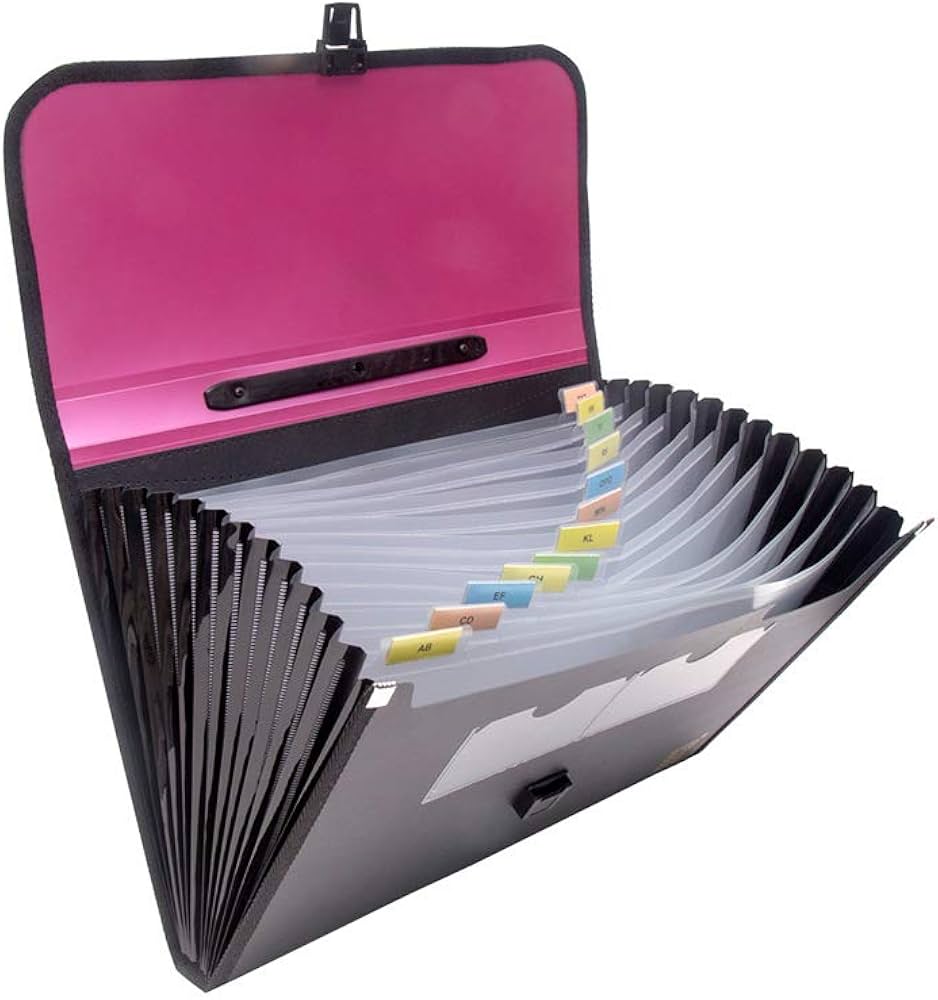 13 Pocket Expending File Folder (Space)