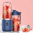 2 Pc Small Portable Juicer