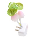 PLANT MUSHROOM N.LAMP